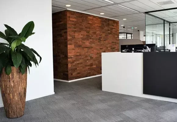 Bejot verrijdbare stoel OX:CO