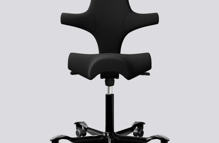 Ergonomische Bureaustoel HÅG Capisco 8106