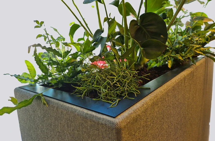 Akoestische plantenbak small