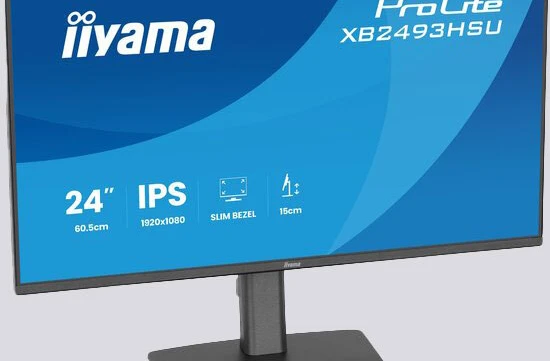 Monitor Prolite