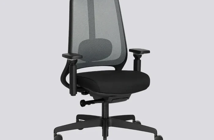 Ergonomische bureaustoel R22