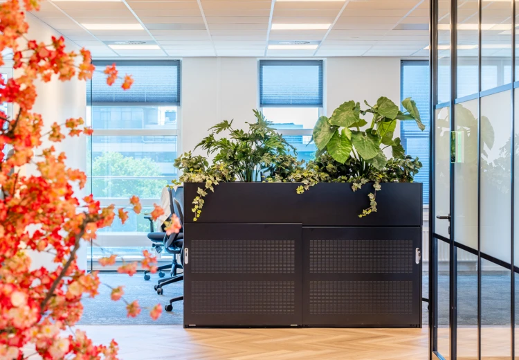 Voortman Sound en Vision II kast