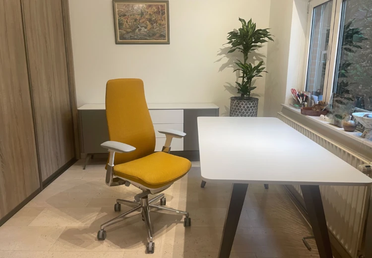 Referentiefoto thuiswerkplek Tabs credenza tafel en Fern stoel IMG 8962