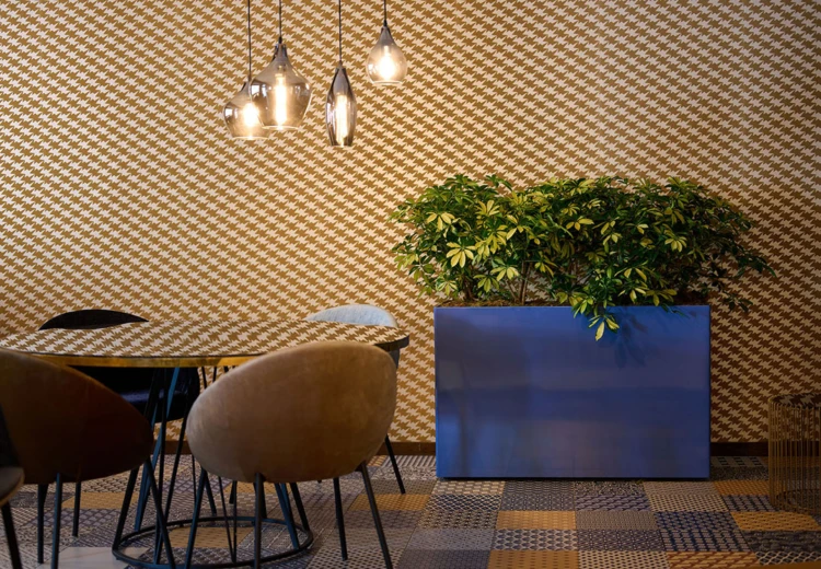 Versluis scheidingswand beplanting