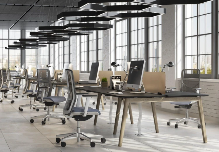 Narbutas Nova Wood duo bureau