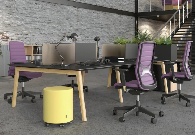 Narbutas Nova Wood duo bureau