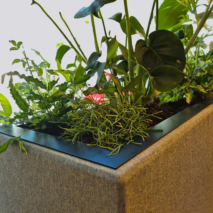 Akoestische plantenbak small