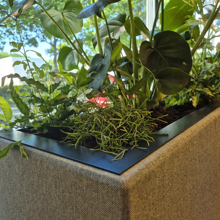 Akoestische plantenbak small