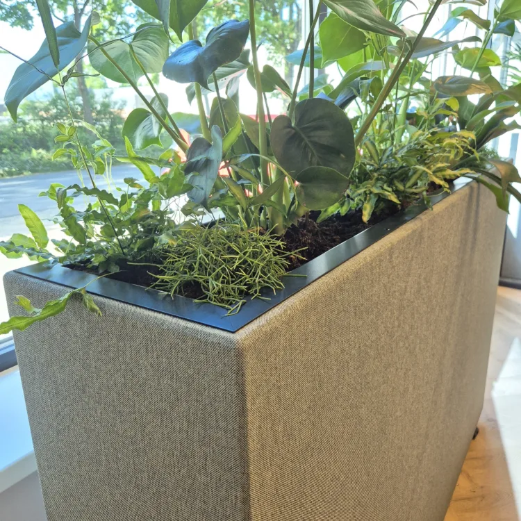 Akoestische plantenbak small